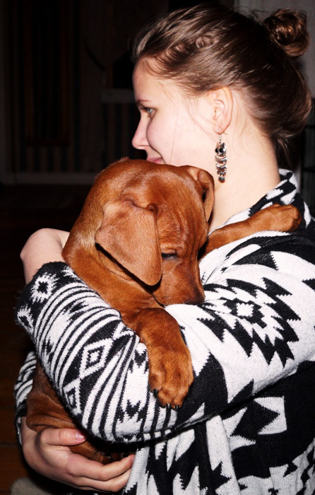 Pinscher * Xélanc Quality Qaxe